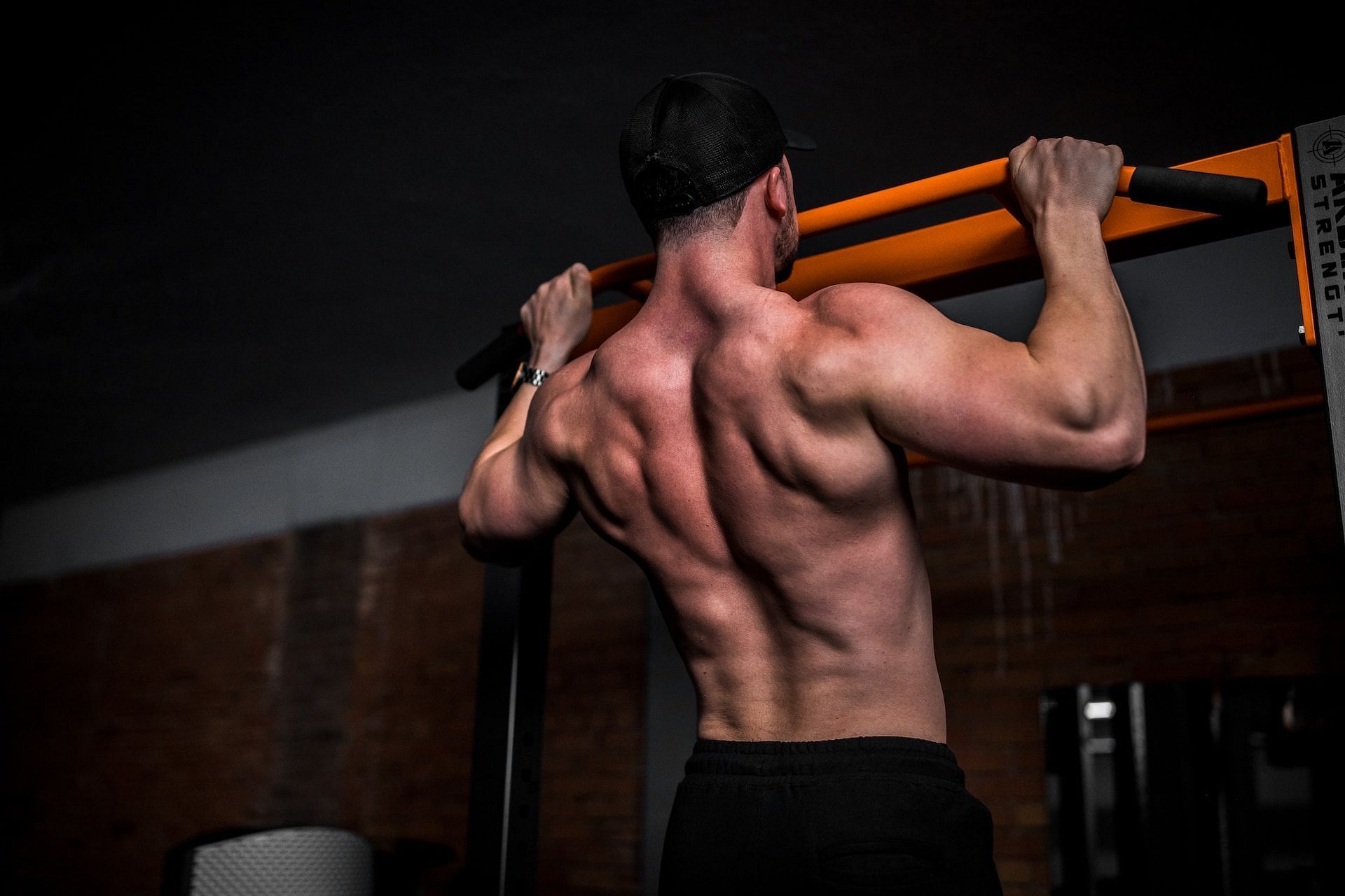 Back muscles (Photo by Anastase Maragos on Unsplash)