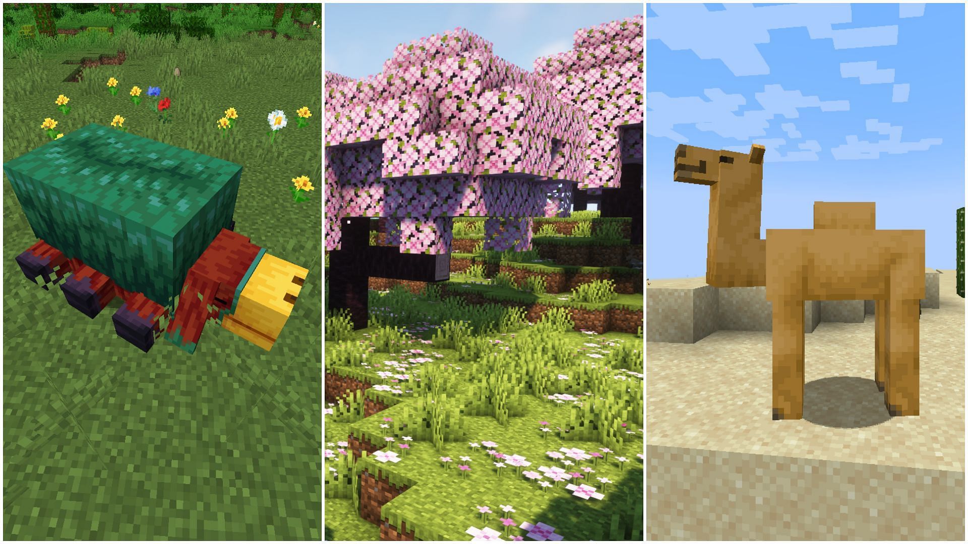 There are two new mobs and one new biome coming with the Minecraft 1.20 Trails and Tales update (Image via Sportskeeda)