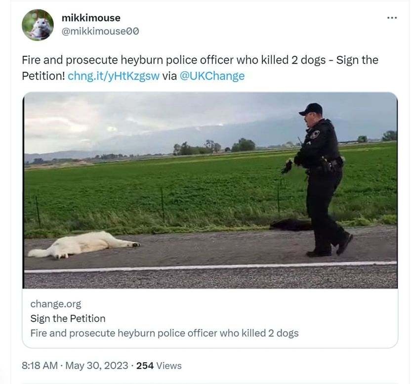 What did Officer Ririe Tomander do? Heyburn Police Department faces