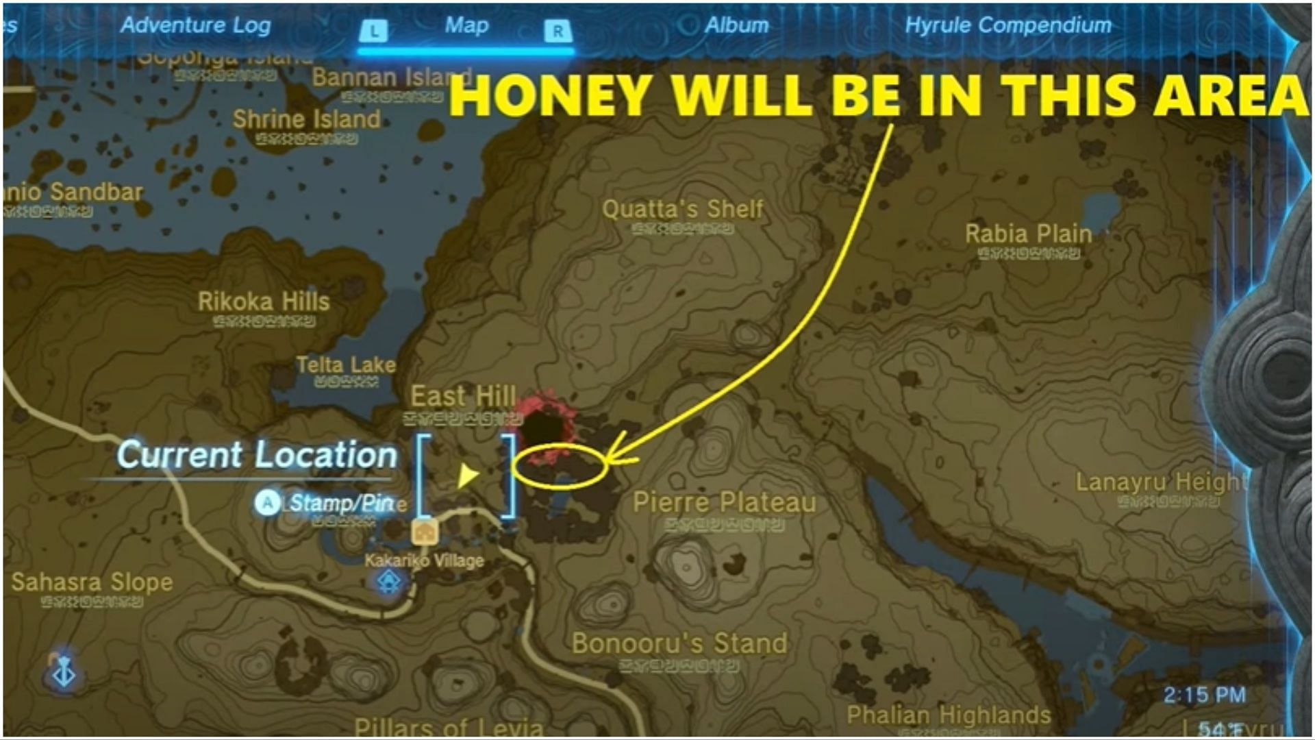 The Honey Hives can be found within the Jungle, near the Big Hole (Image via YouTube/ Gamerpillar)