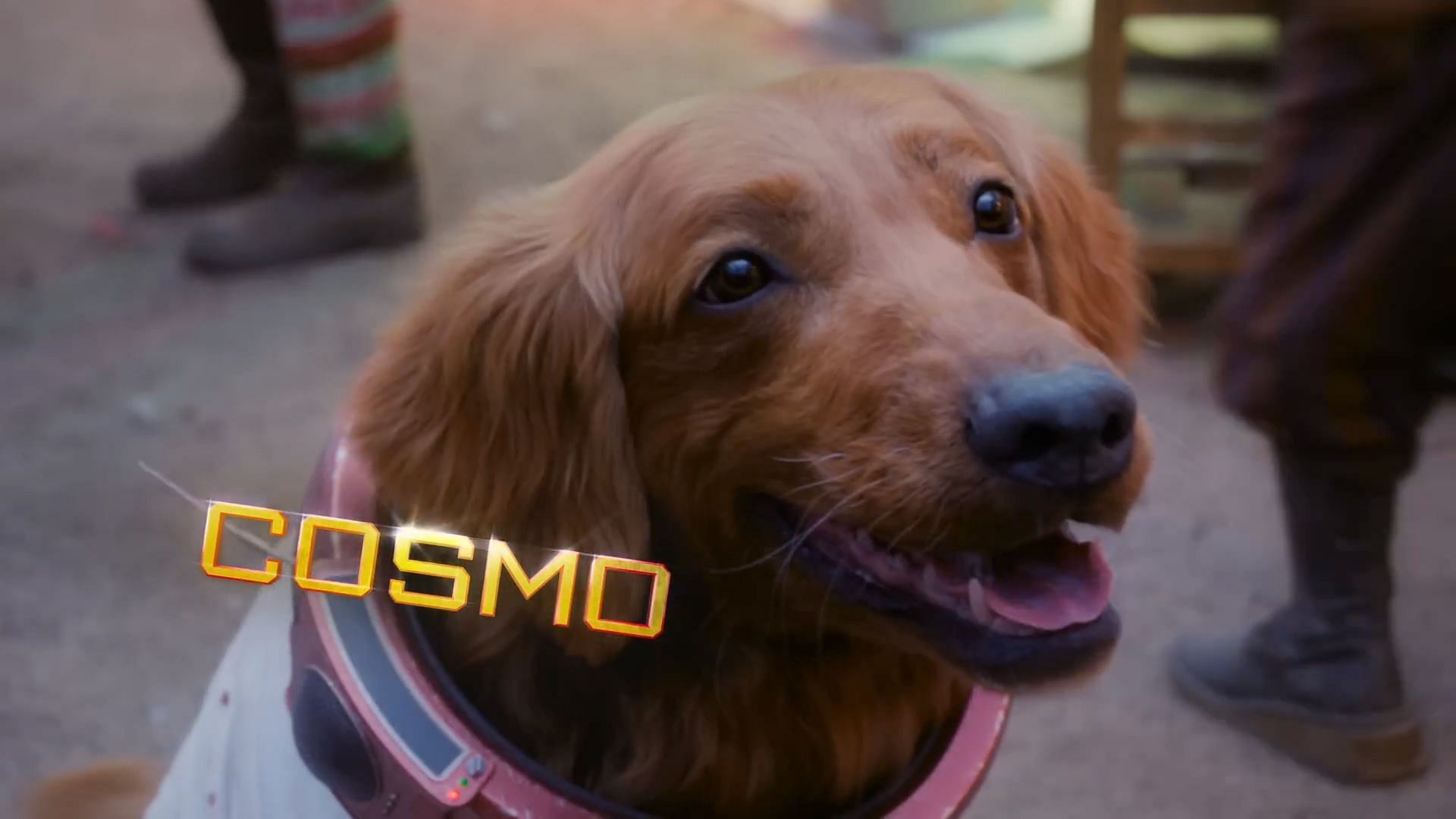 Cosmo in Guardians of the Galaxy Holiday Special (Image via Marvel)