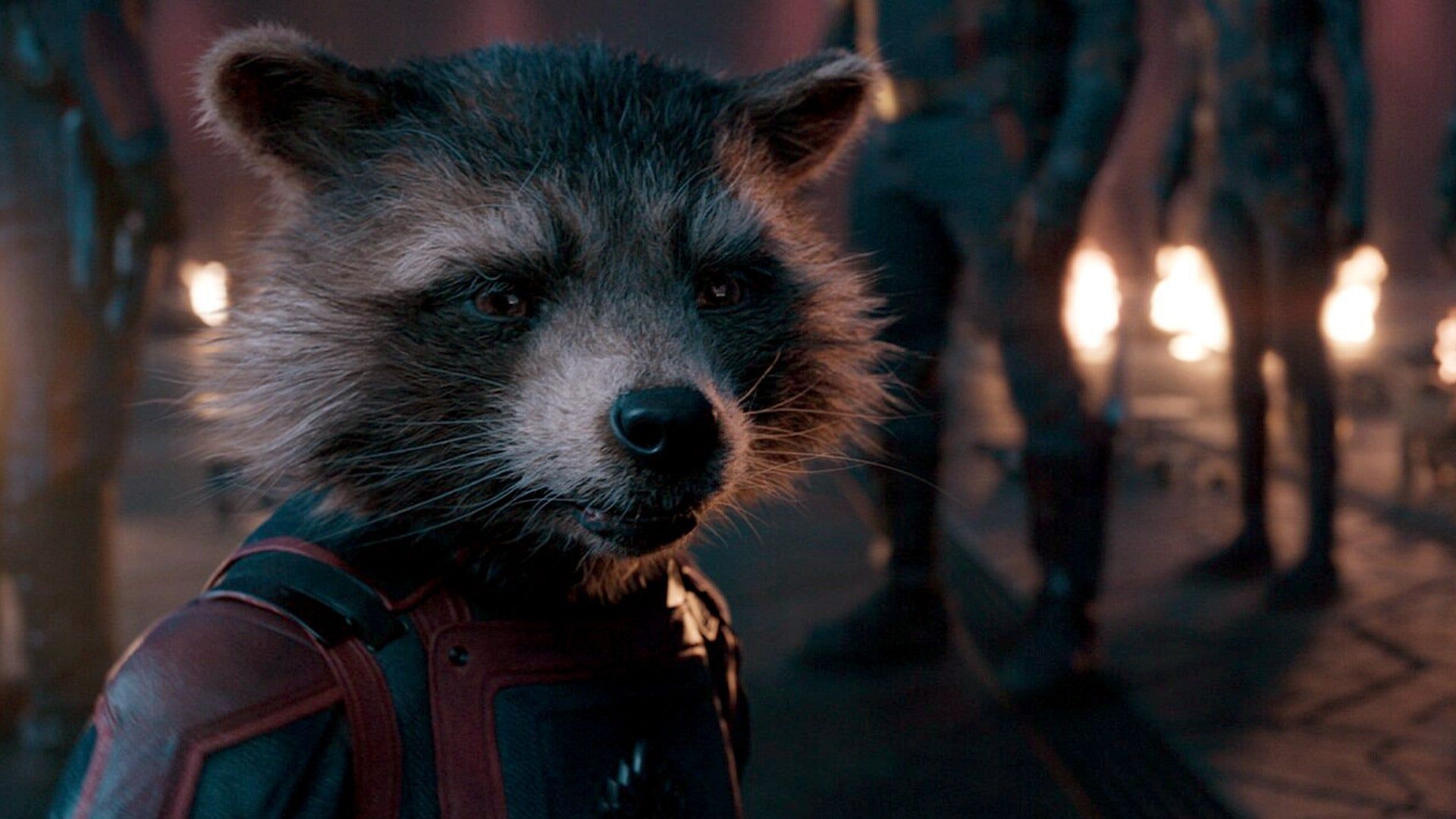 Rocket Raccoon in Guardians 3 (Image via Marvel)