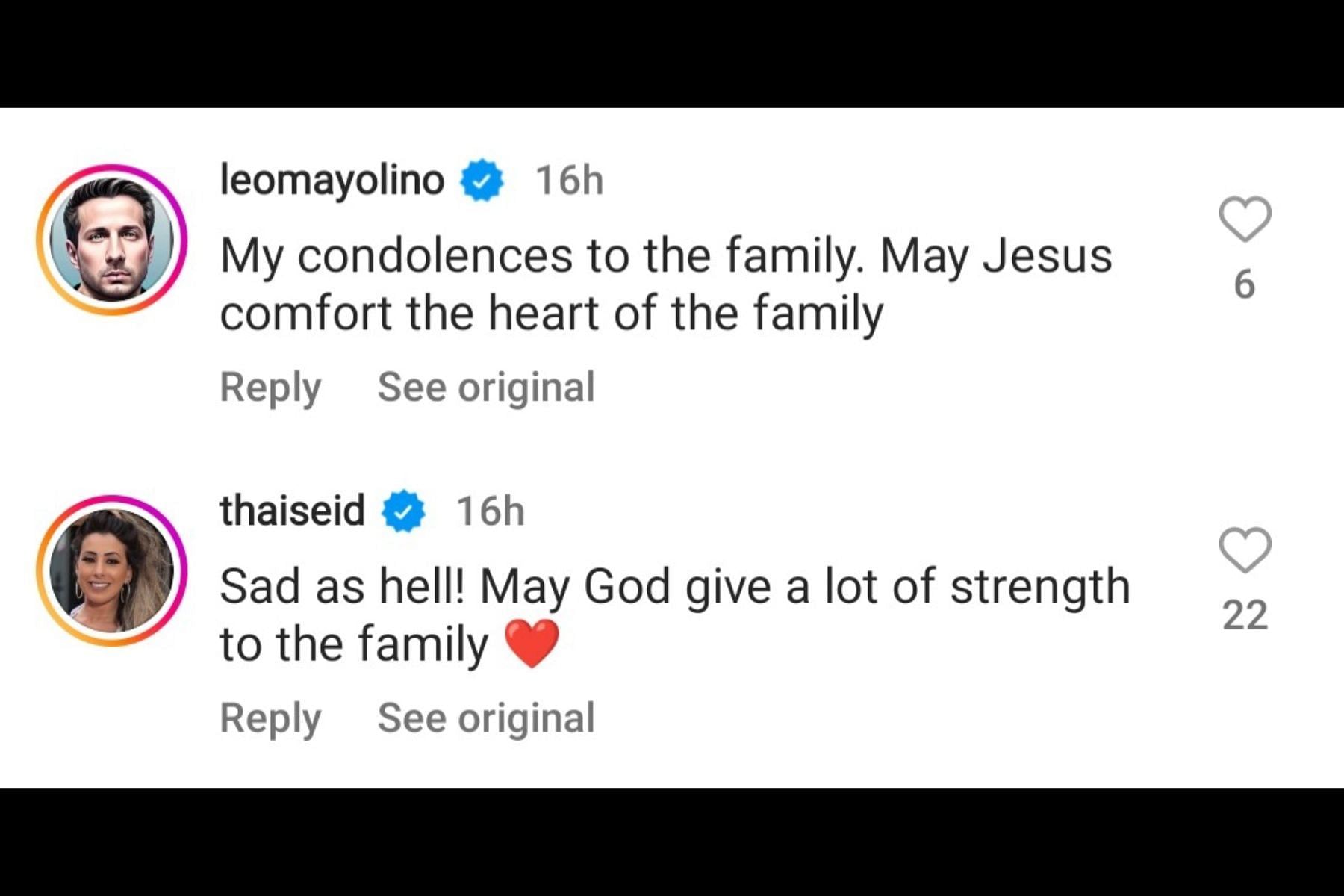 Netizens send their condolences. (Image via Instagram/@jardimluanne)