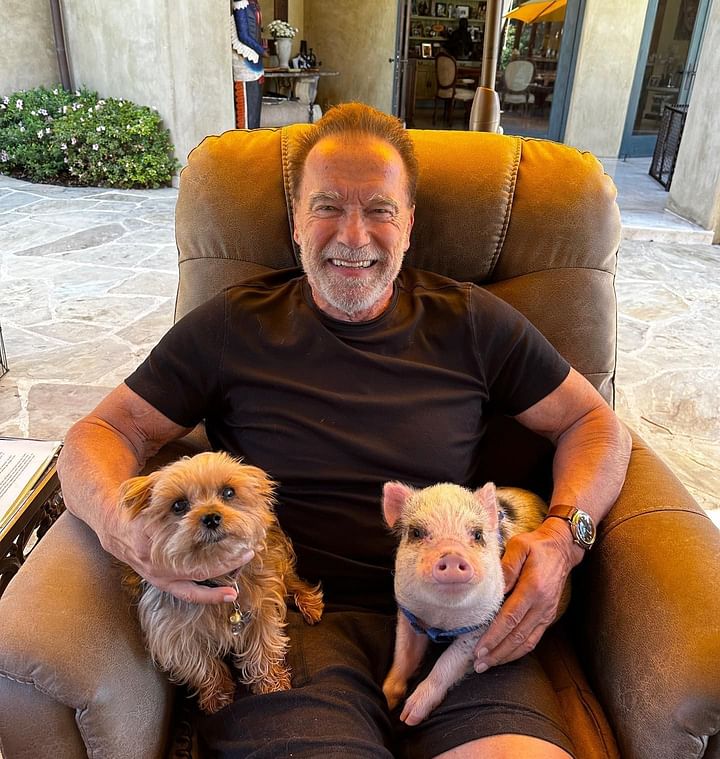 Arnold Schwarzenegger Wives