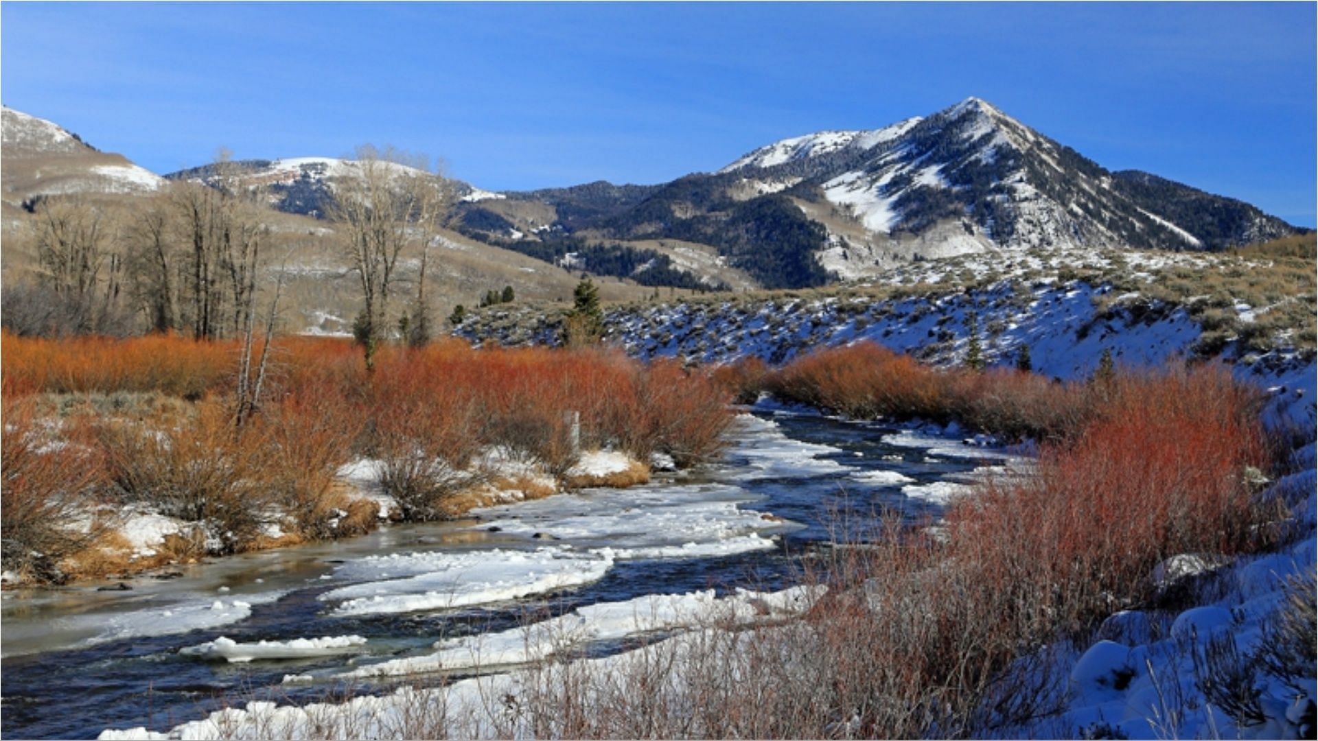 Libby Stimpson was swept away in the Weber River (Image via Park City Utah)