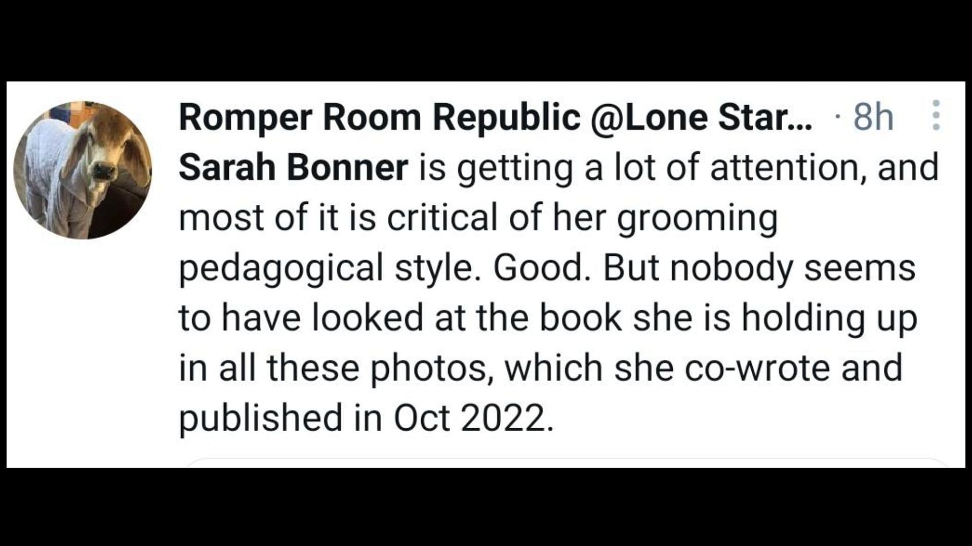 Bonner has been a teacher for several years now, (Image via Romper Room Republic @Lone Star Protester/Twitter)