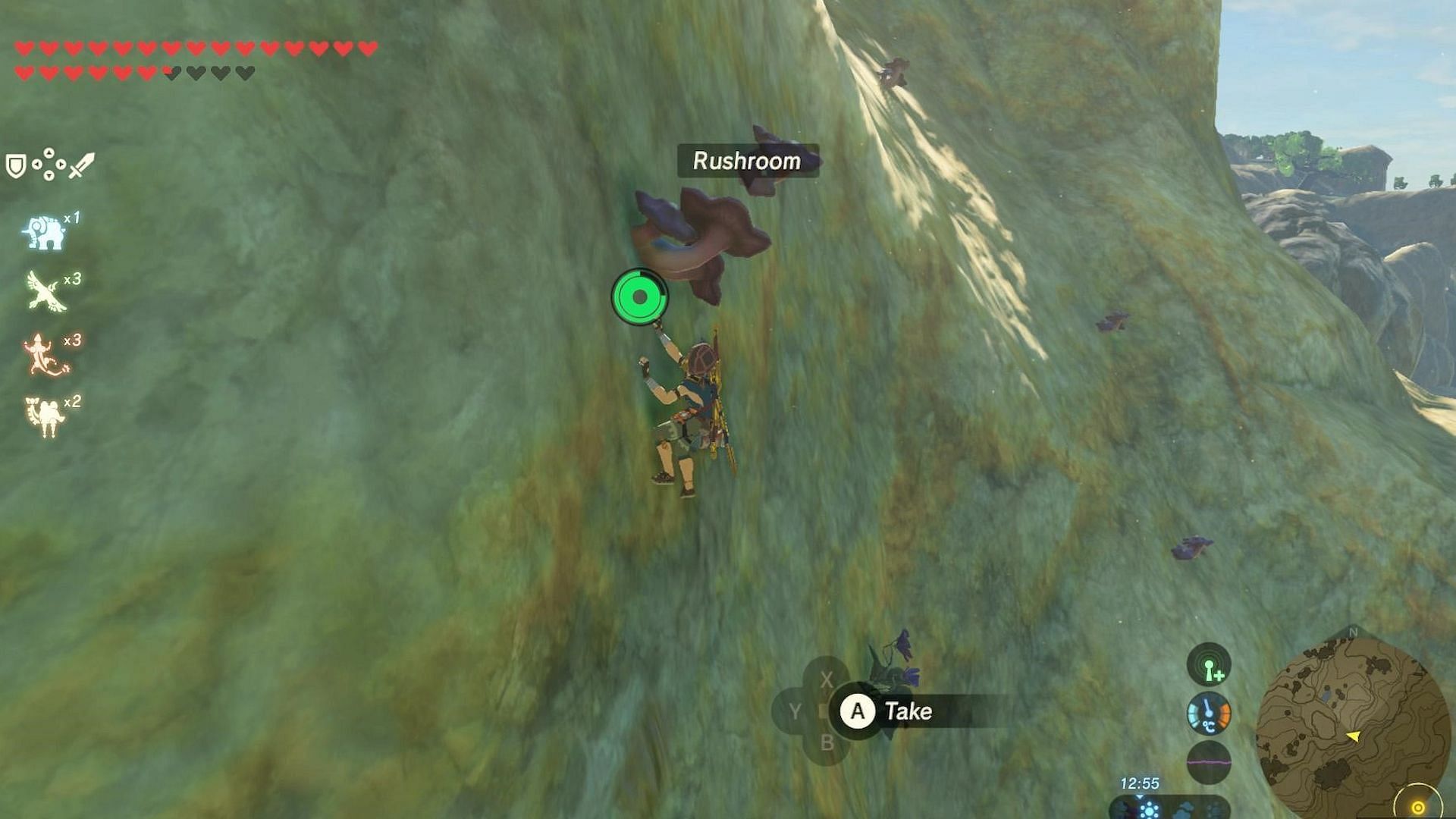 Rushrooms can be obtained from cliffs (Image via The Legend of Zelda Tears of the Kingdom)