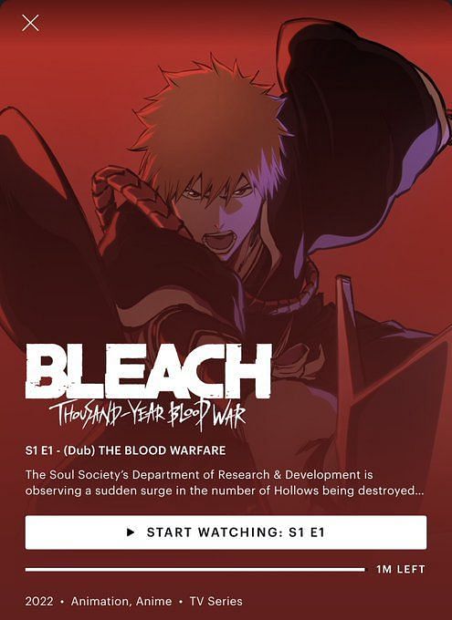 Bleach Movies Ranked In Chronological Watch Order