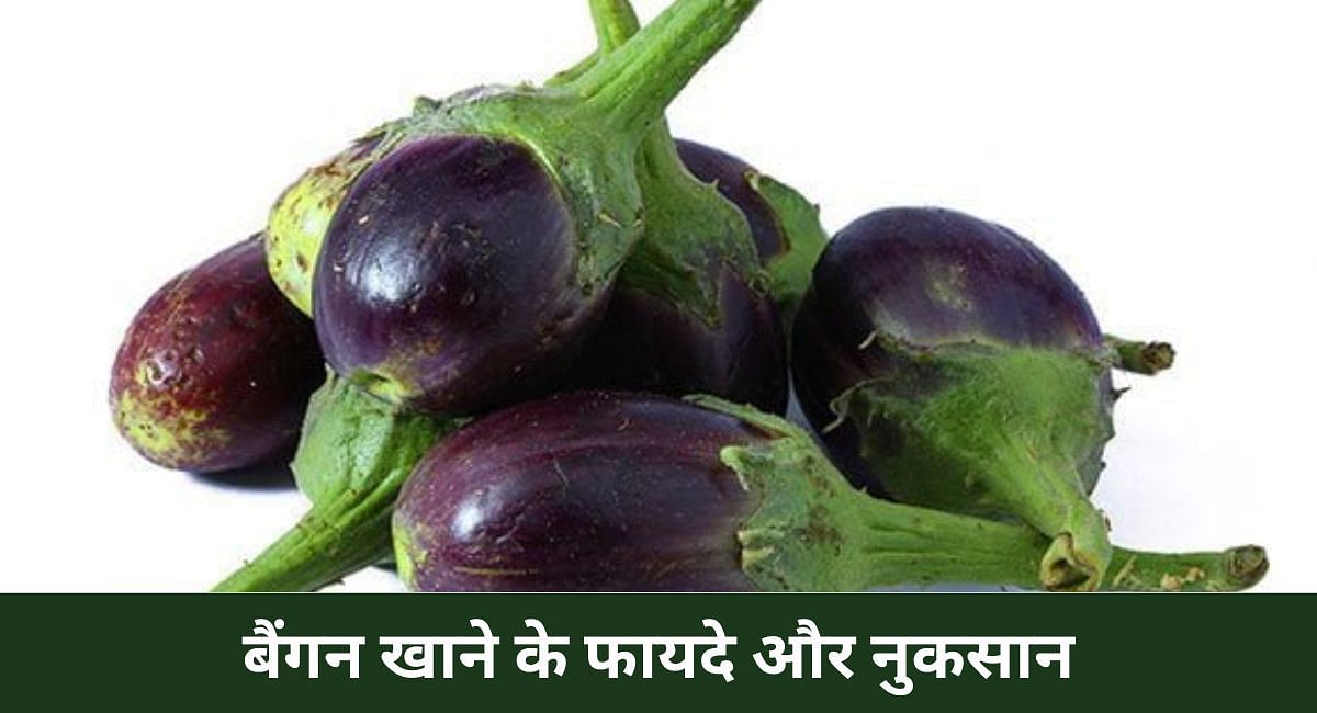 बैंगन खाने के फायदे और नुकसान (फोटो - Sportskeeda hindi)