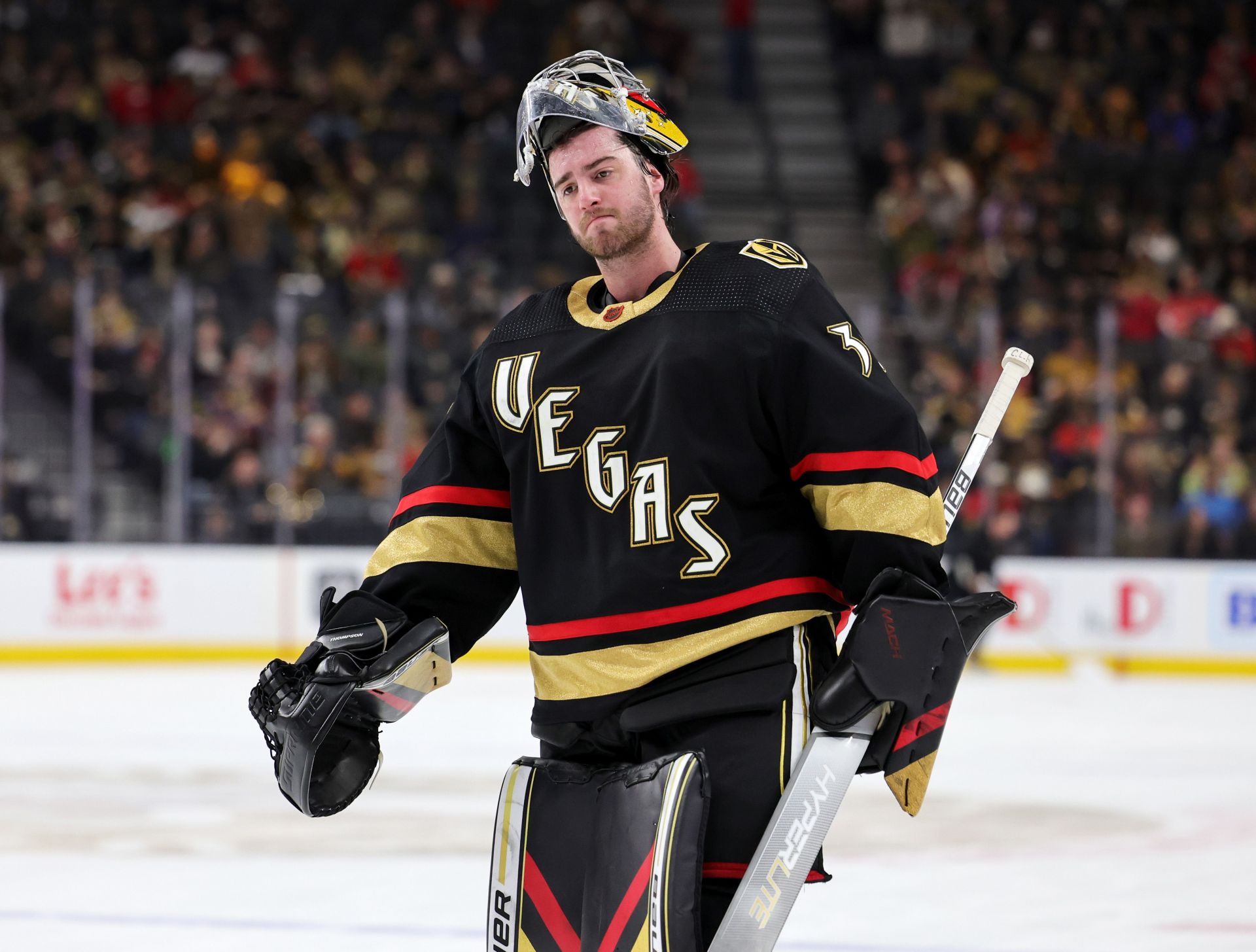 Logan Thompson #36 of the Vegas Golden Knights