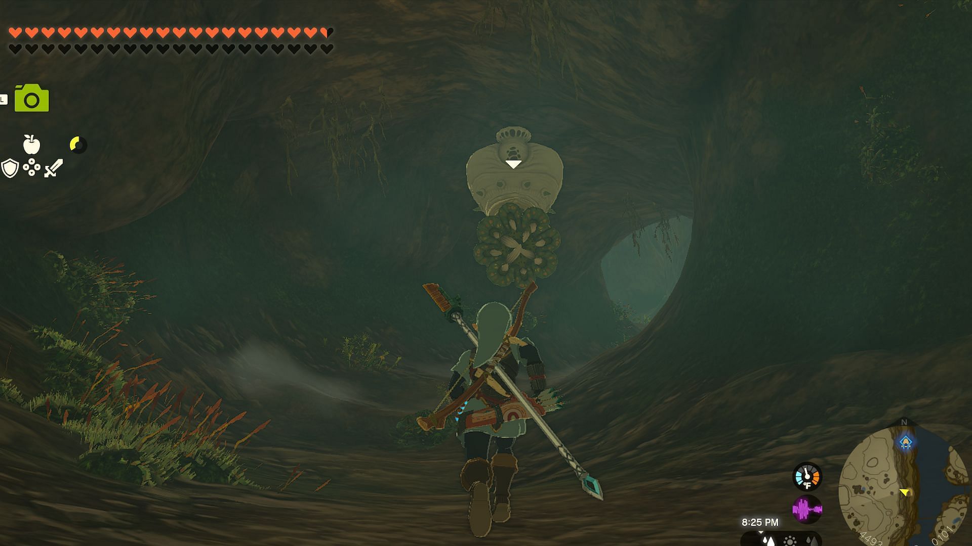 You can obtain Zora Spear from Tabahl Woods Cave in The Legend of Zelda Tears of the Kingdom (Image via Nintendo)