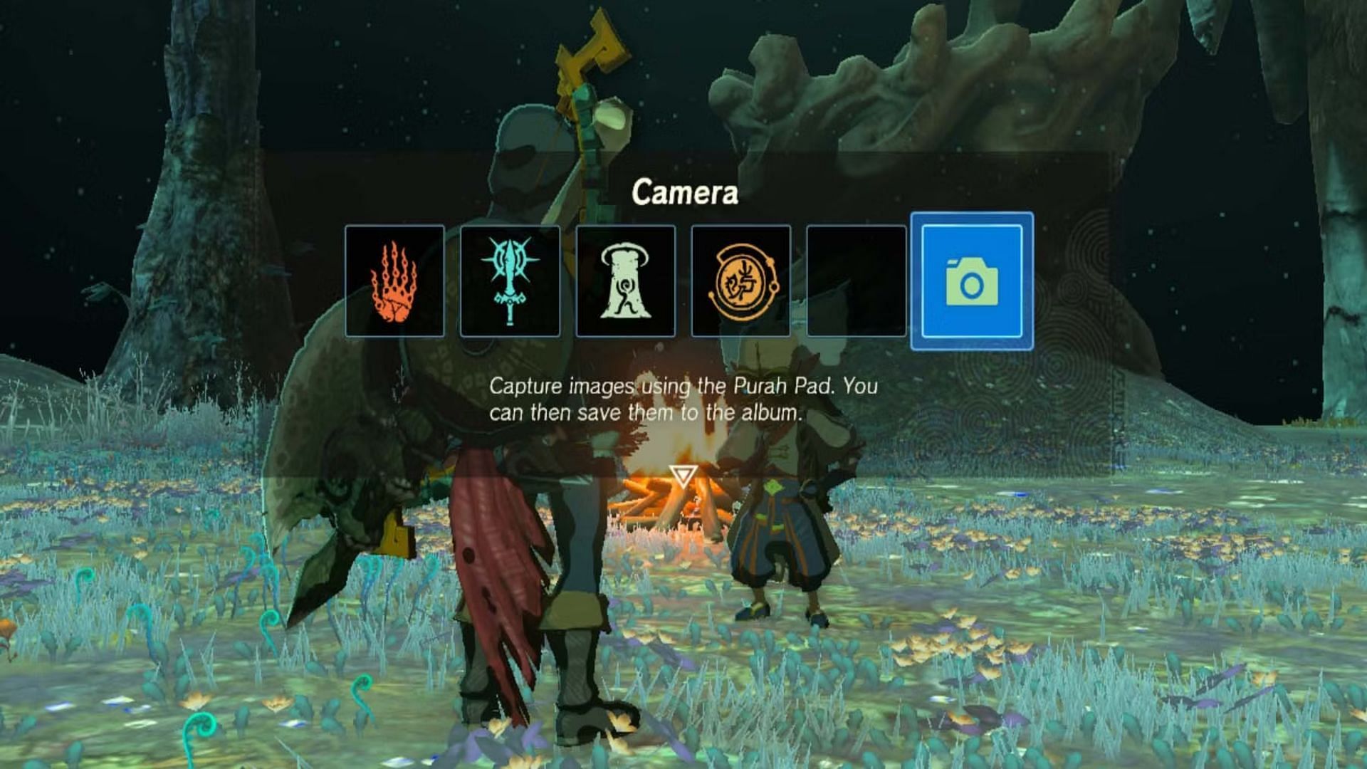 The Camera in-game (Image via Nintendo)