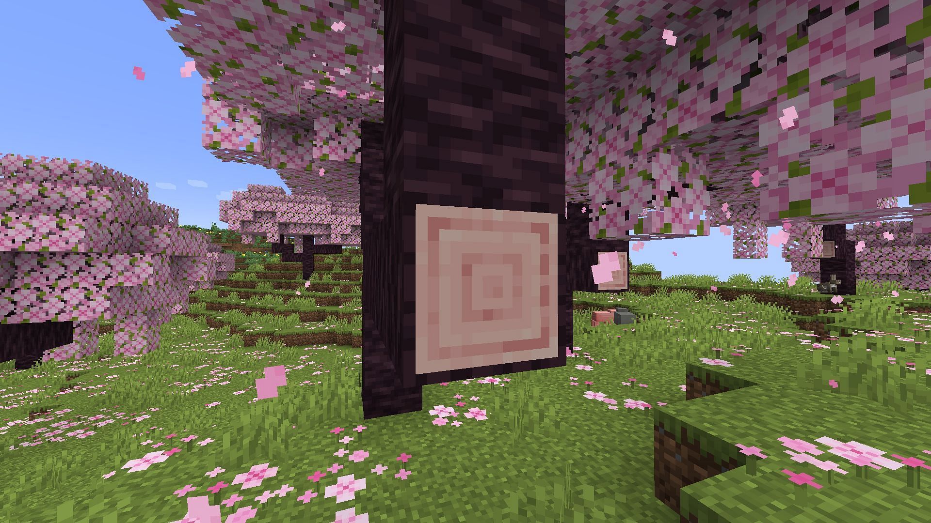 Cherry Wood is a brand new wood set that will be added to the Minecraft 1.20 update (Image via Mojang)