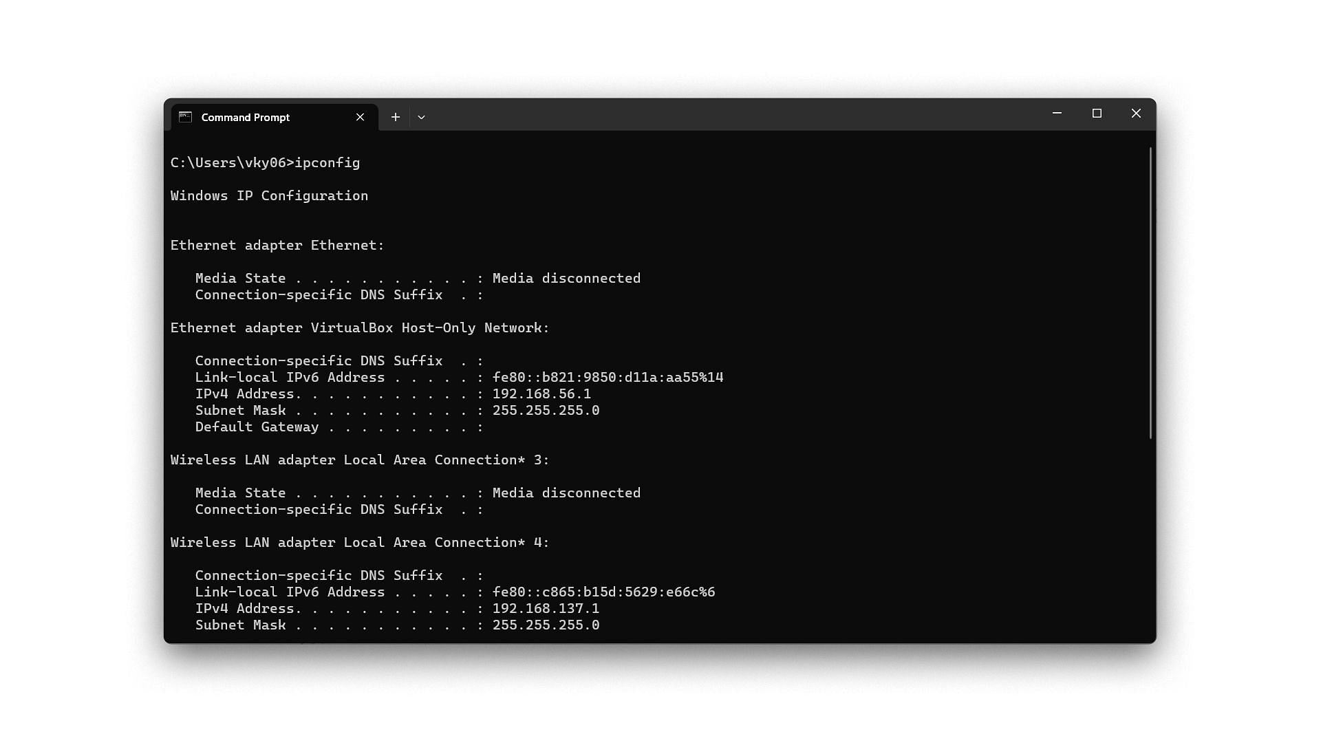 ipconfig (Image captured from Windows 11)