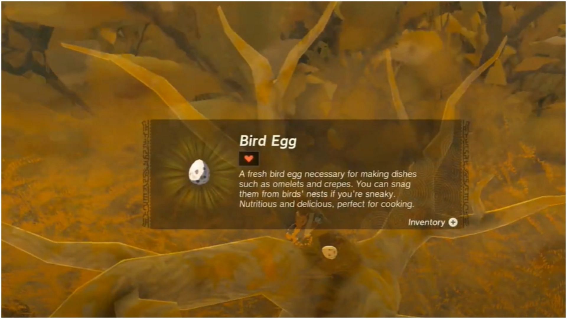 Across the In the Great Sky Island region, players can get the Bird Eggs (Image via The Legend of Zelda Tears of the Kingdom)