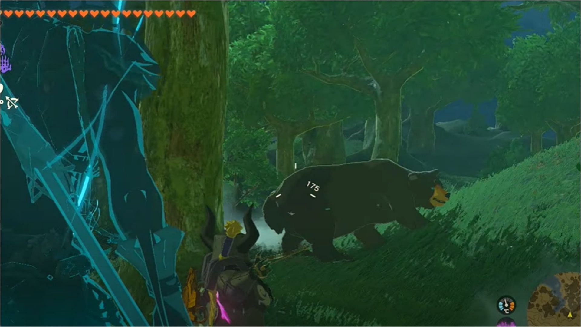 These bears are extremely aggressive (Image via The Legend of Zelda Tears of the Kingdom)