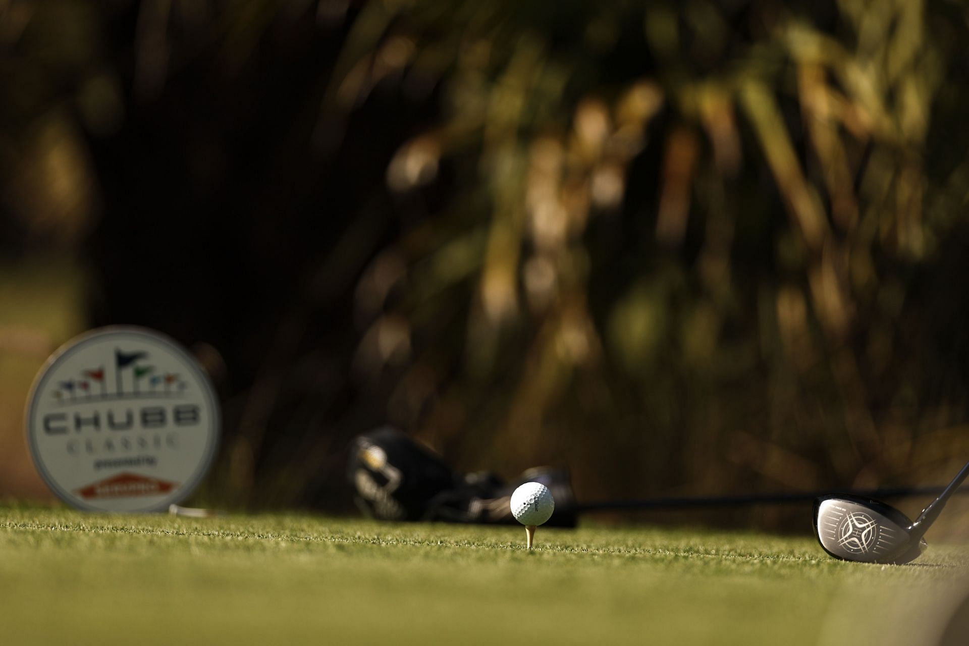 Chubb Classic - Round Two
