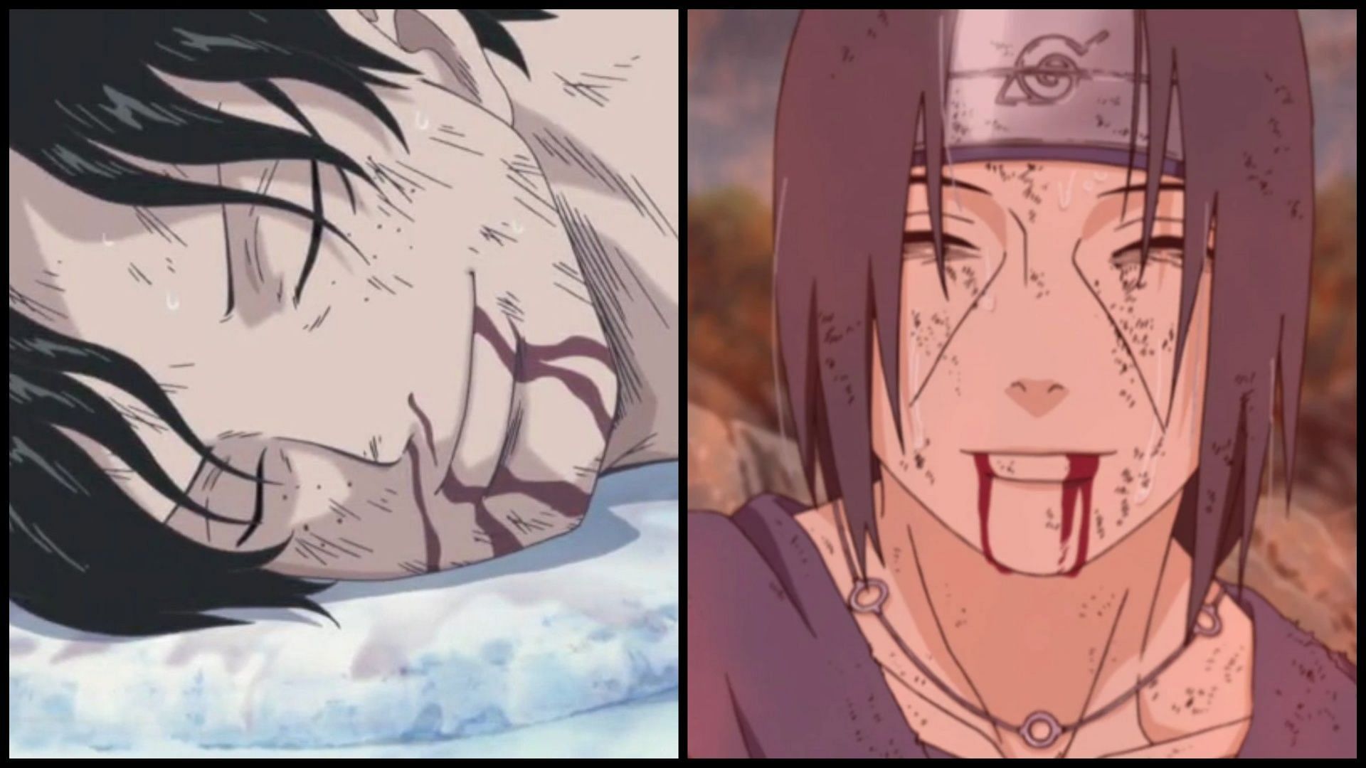 The feels, these three made the ultimate sacrifice - Gaming | Crazy funny  memes, Meaning of love, Anime mems