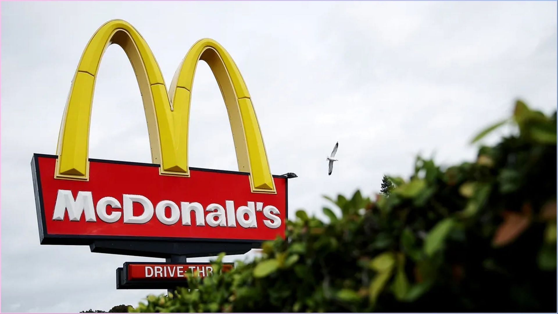 McDonald&rsquo;s franchisees are solely responsible for hiring employees and deciding their working conditions (Image via Justin Sullivan/ Getty Images)