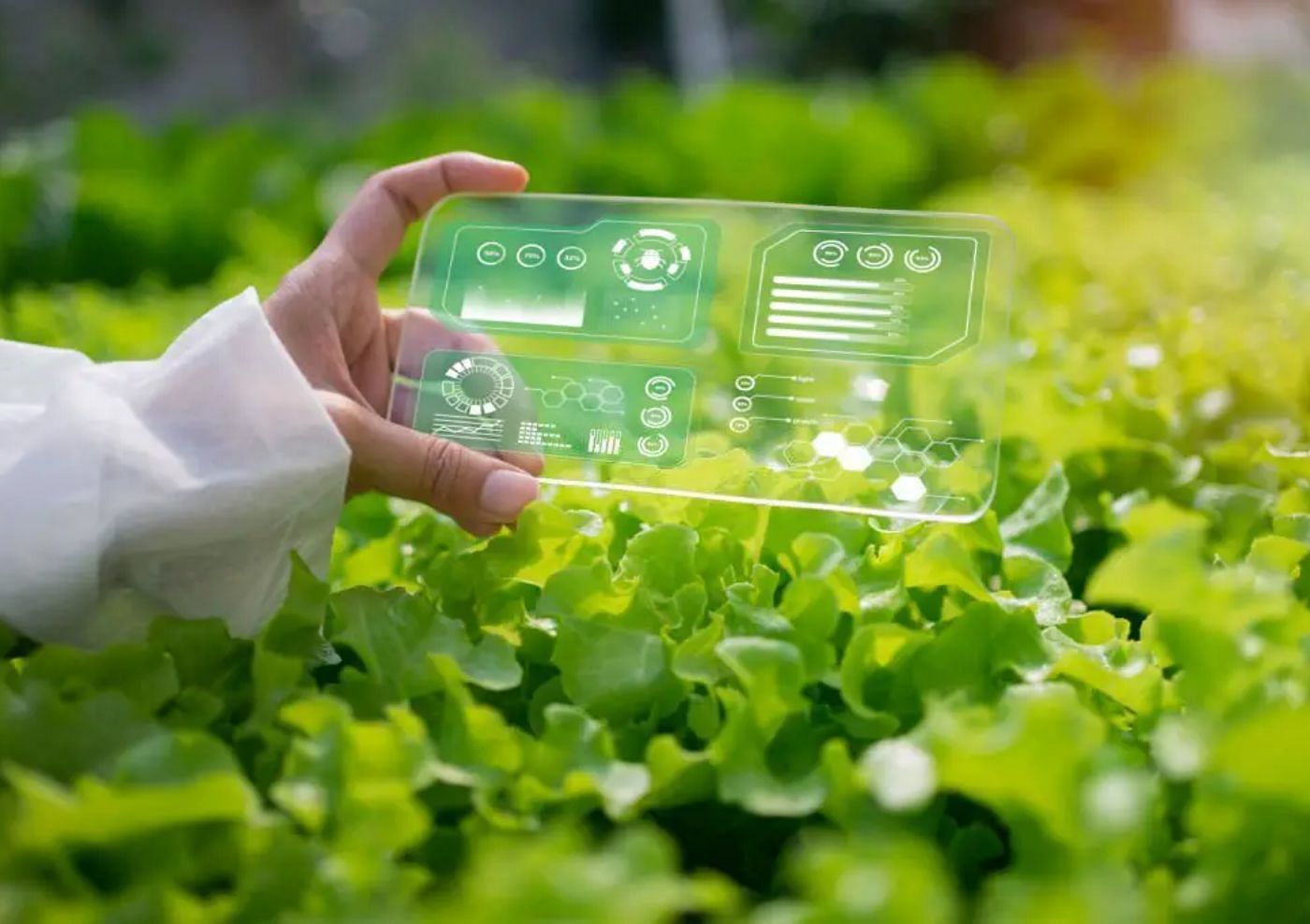 Plant sensors: A must-have tech gadget for gardeners (Image via Getty)