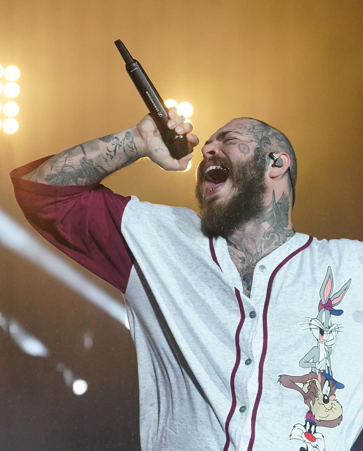 How many tattoos does Post Malone have and what do they mean?