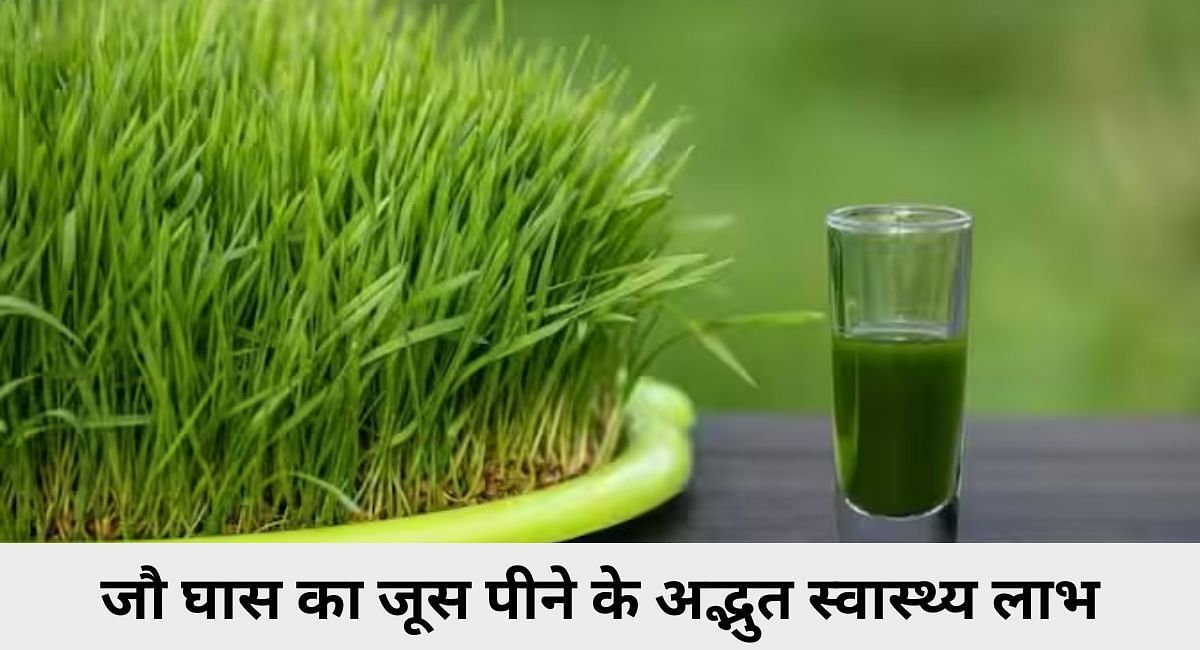जौ घास का जूस पीने के अद्भुत स्वास्थ्य लाभ(फोटो-Sportskeeda hindi)