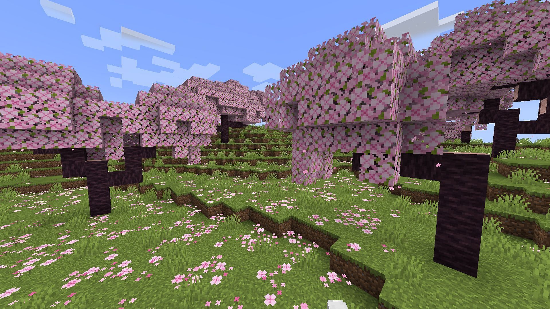 Cherry Grove is the brand new biome coming to the Minecraft 1.20 Trails and Tales update (Image via Mojang)