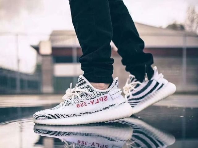 yeezy zebra 2021