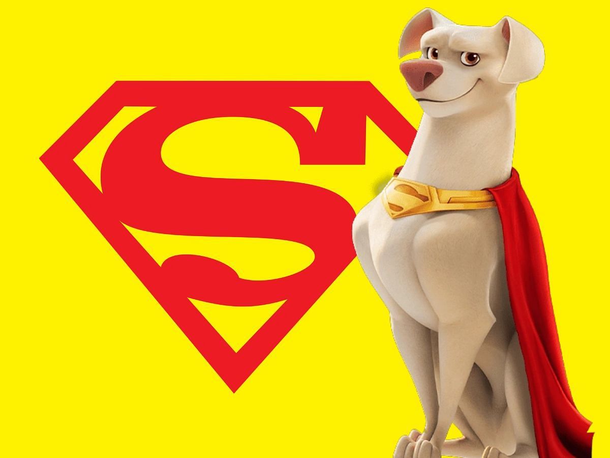 Krypto The Superdog And Superman