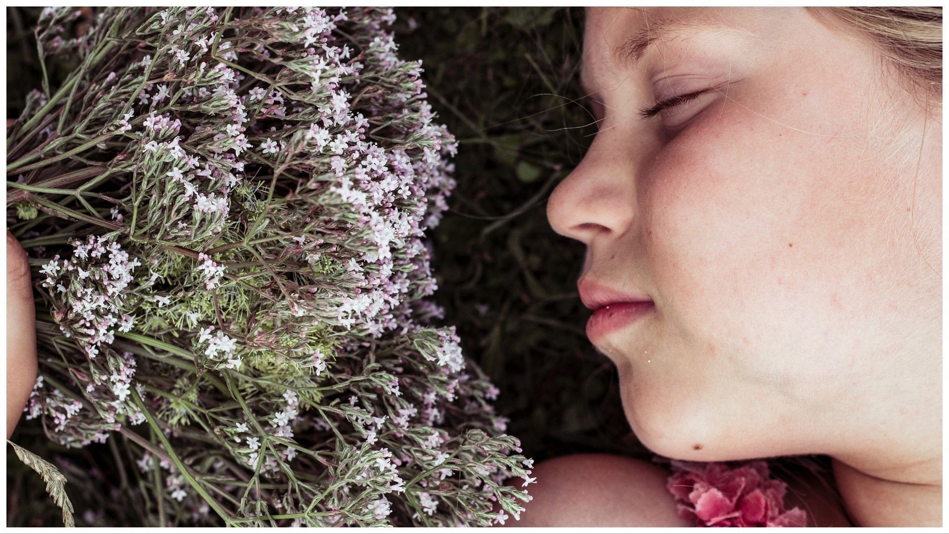 You can rely on valerian root for sleep. (Image via Pexels/ Kate)