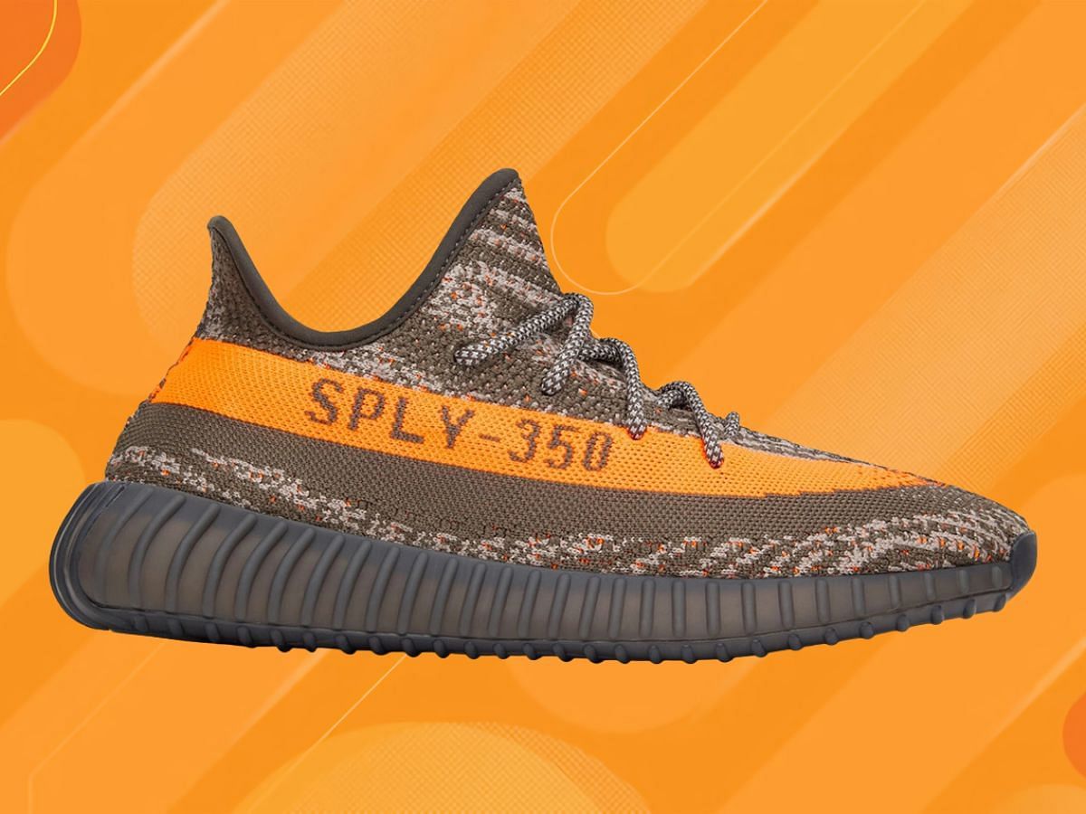 Adidas Yeezy Boost 350 V2 “Carbon Beluga” sneakers: Price and more