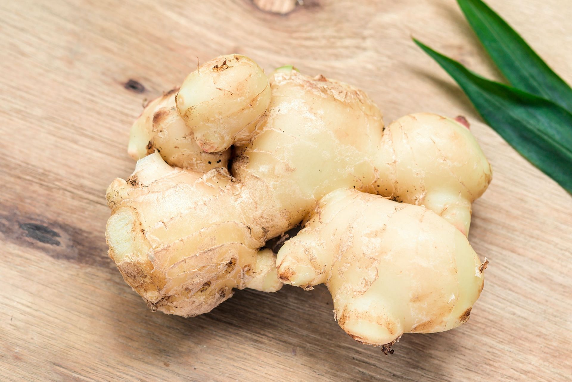 Ginger has reduced post-operative nausea and vomiting in some studies. (Image via Unsplash/ Sentot Setyasiswanto)