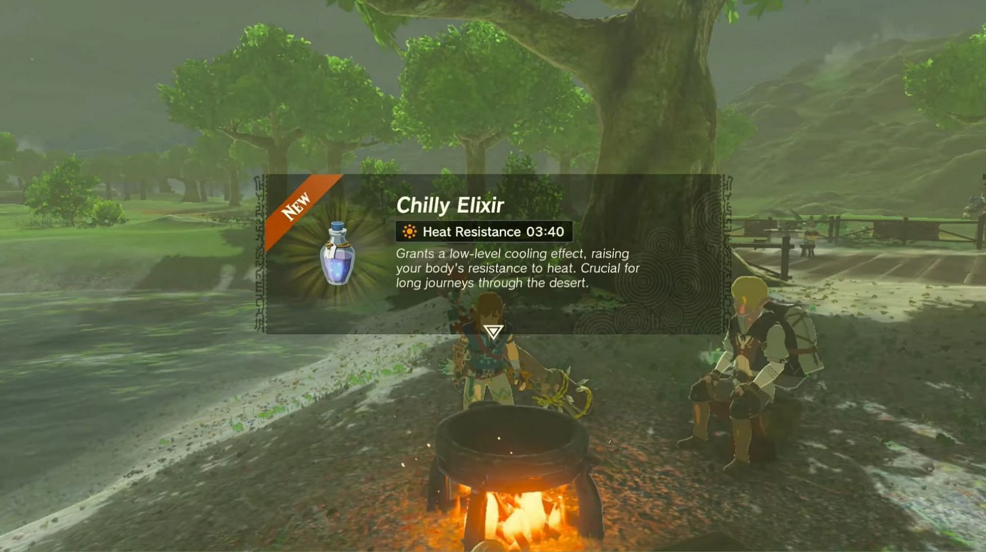 This elixir grants heat resistance (Image via The Legend of Zelda Tears of the Kingdom)