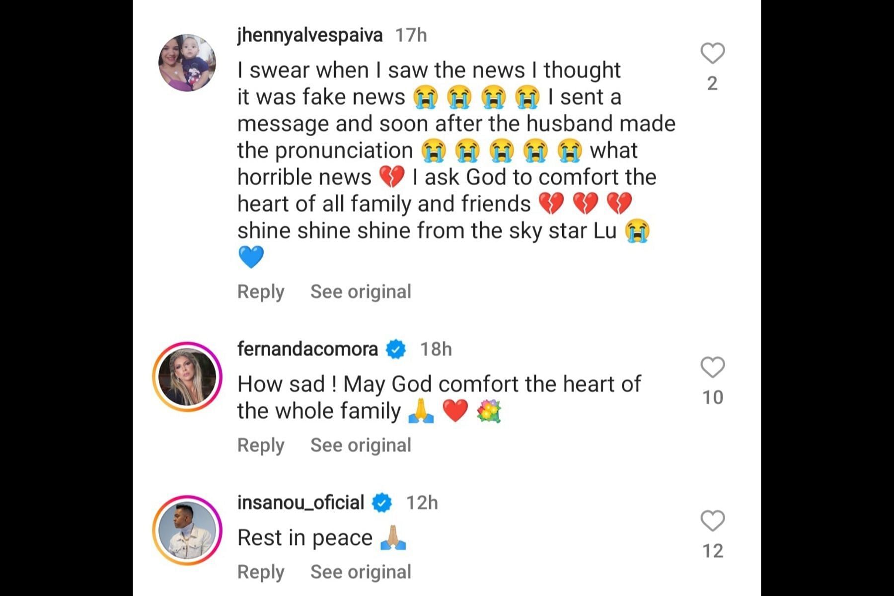 Netizens send their condolences. (Image via Instagram/@jardimluanne)