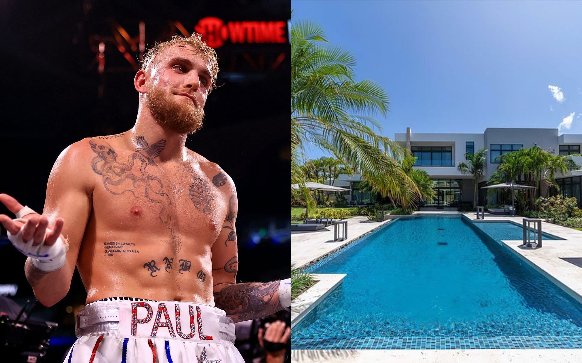 Jake Paul (left) and reported photos of his new mansion (right) [Image credits: Getty Images and TMZ official website] 