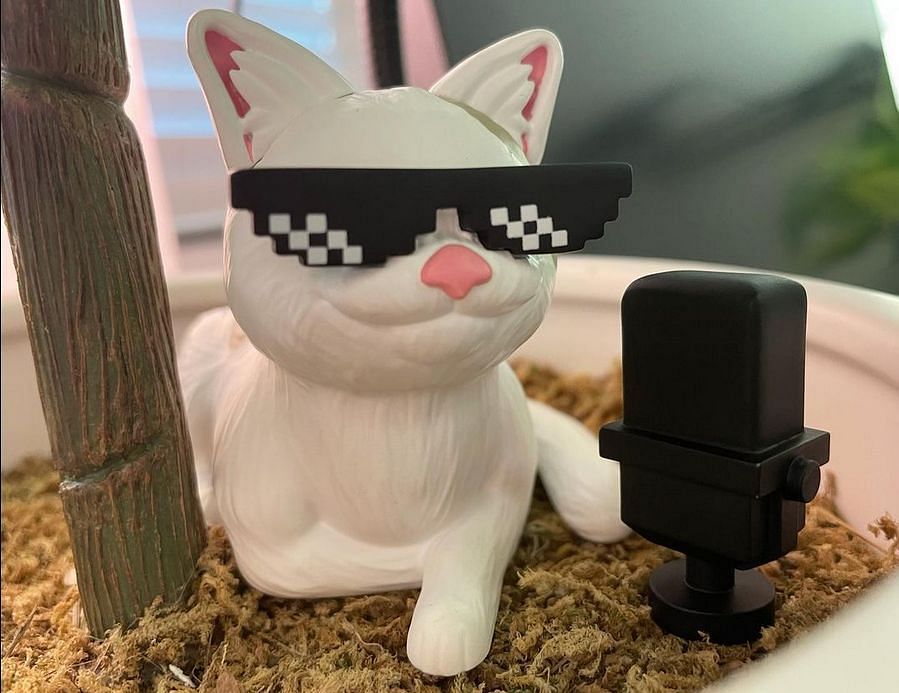 is beluga cat alive yt｜TikTok Search