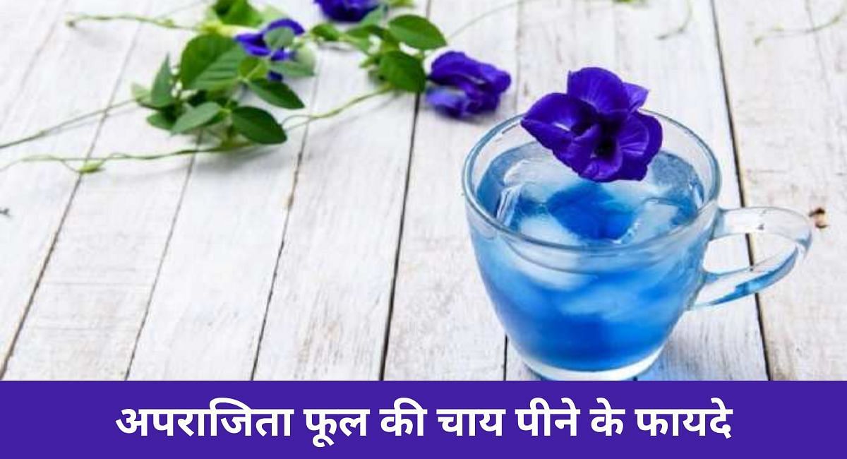 अपराजिता फूल की चाय पीने के फायदे(फोटो-Sportskeeda hindi)