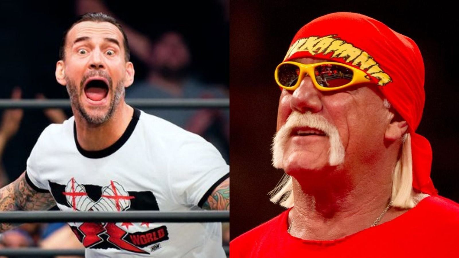 CM Punk (left) and Hulk Hogan (right).