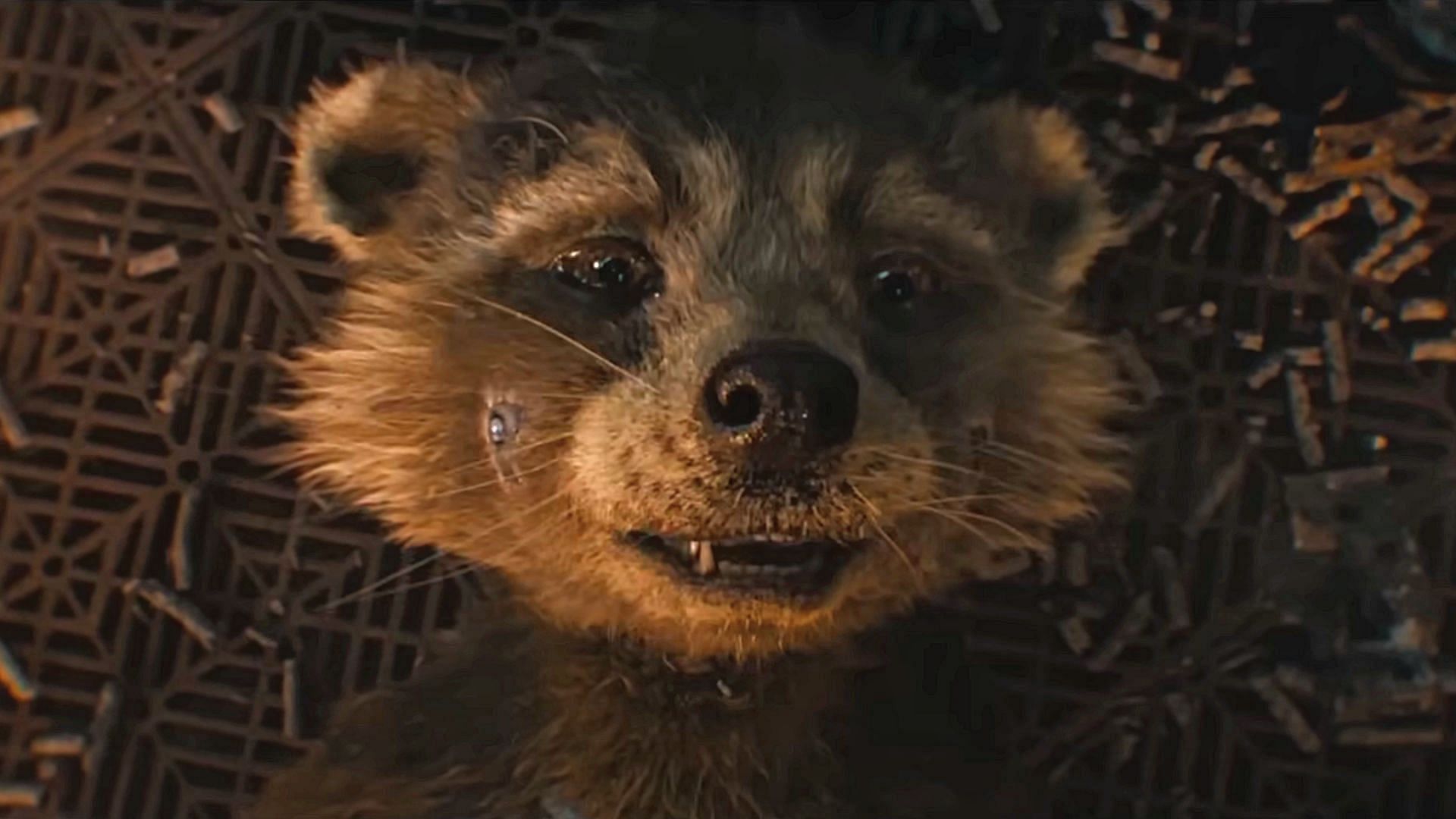 Emotional Rocket Racoon (Image via. Marvel)