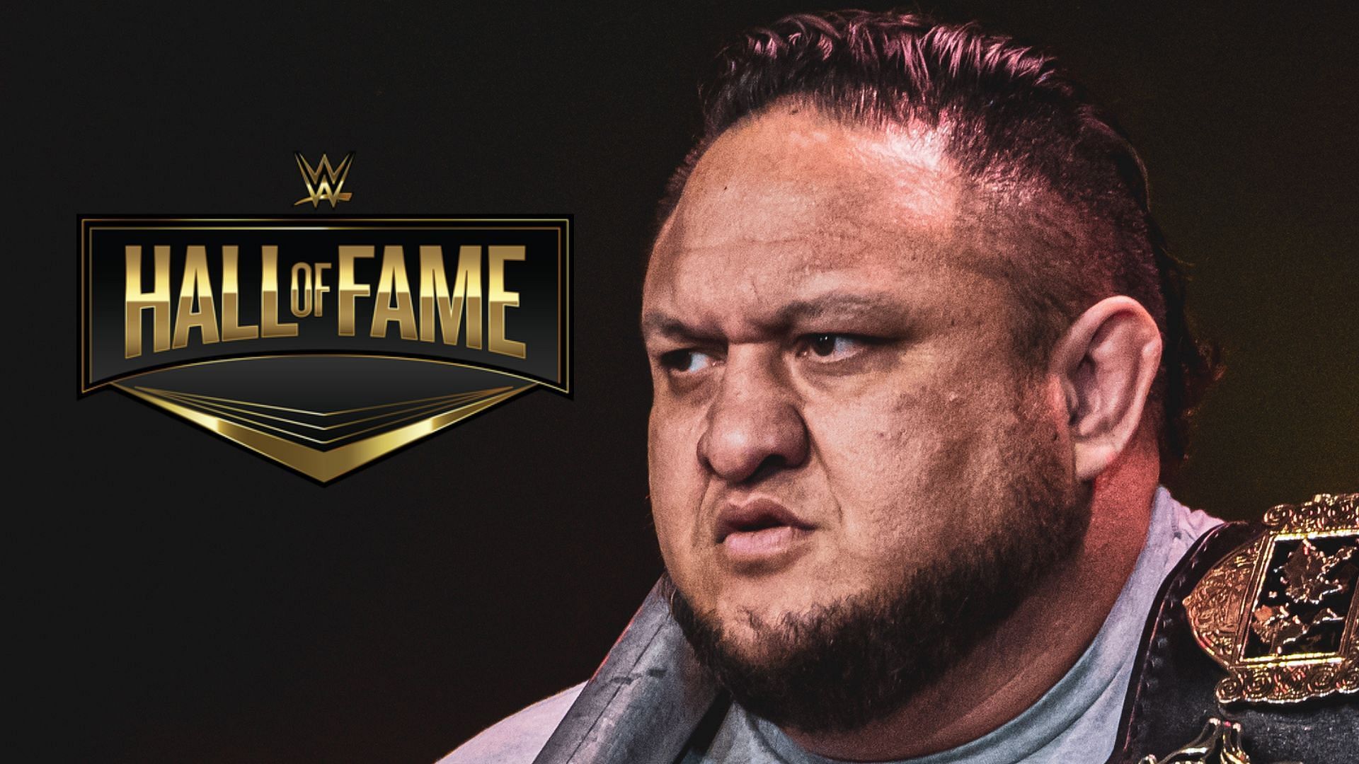Which WWE Hall of Famer called Smaoa Joe a &quot;half-breed?&quot;