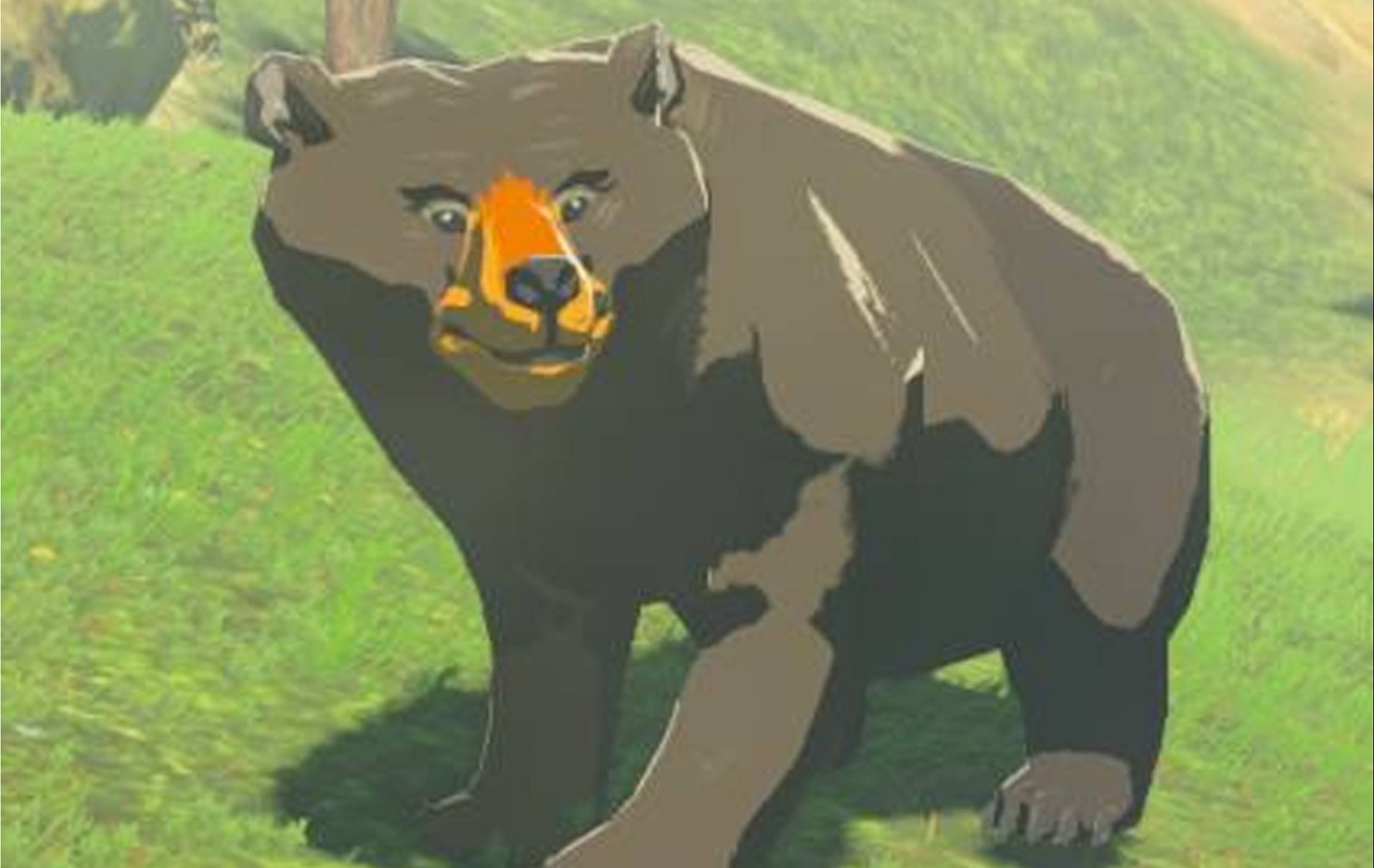 The bears of Hyrule are shy yet ferocious wild animals (Image via Nintendo)