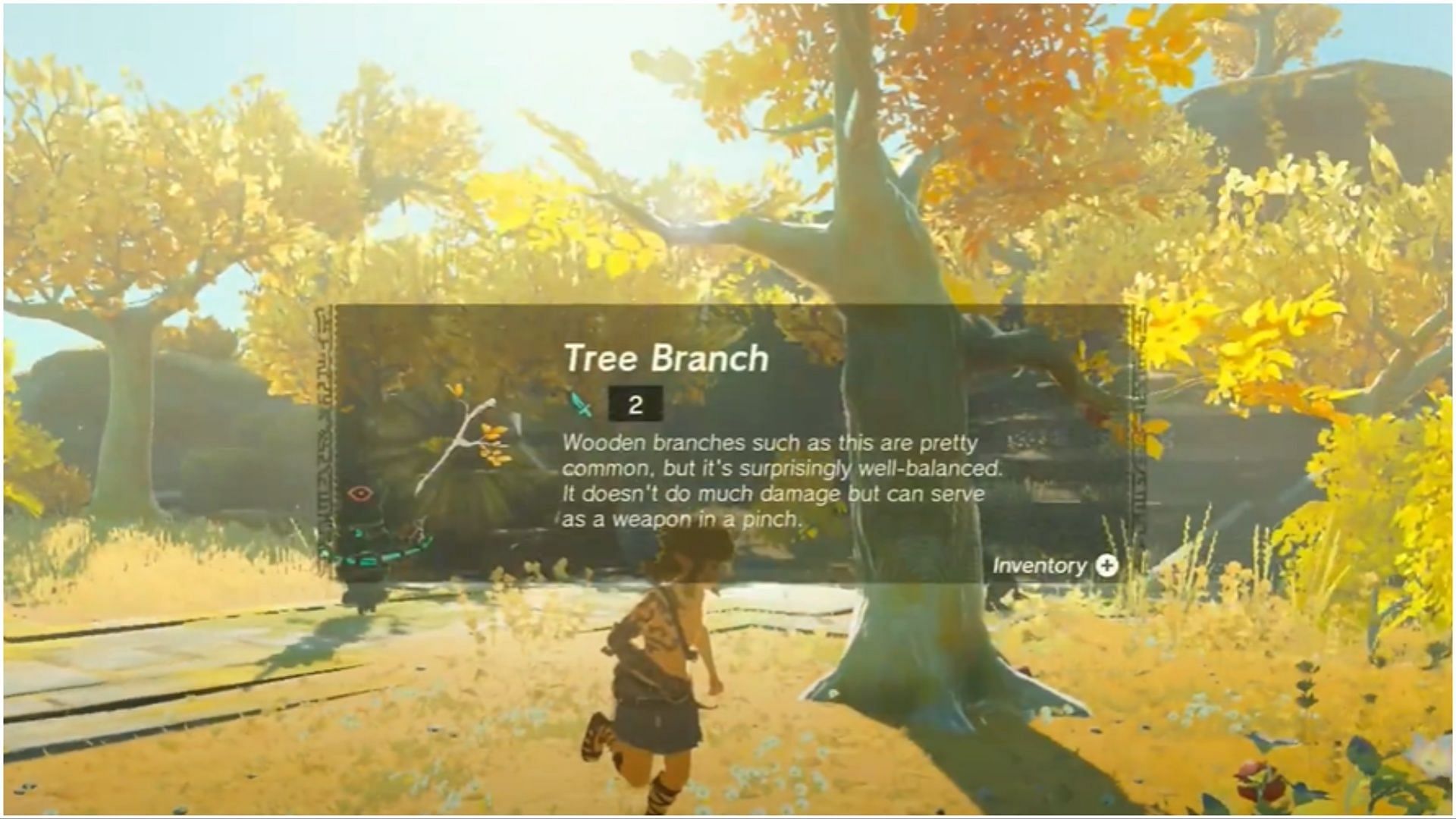 You&#039;ll see a Tree Branch nearby (Image via Nintendo)