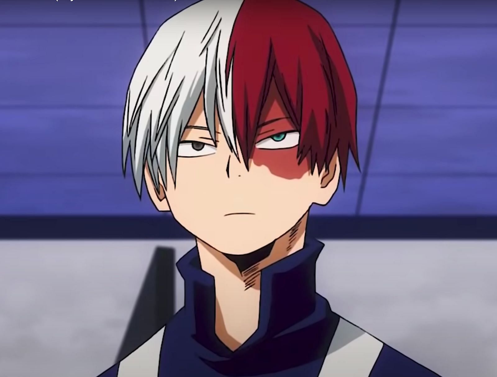 Shoto Todoroki Anime Series - Anime character names