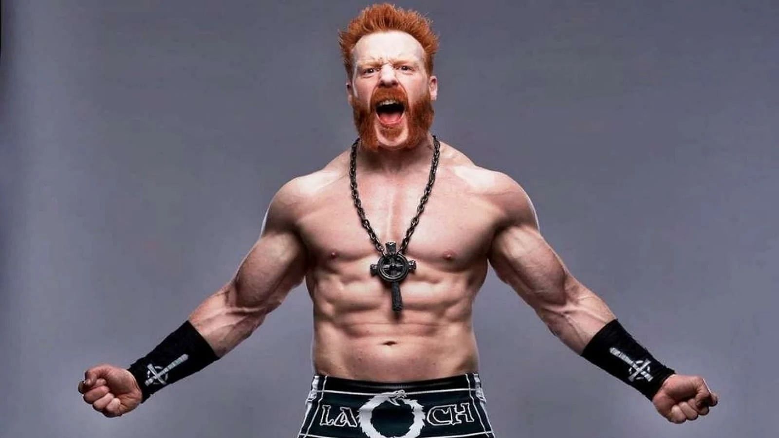 What is Sheamus Net Worth as of 2023?