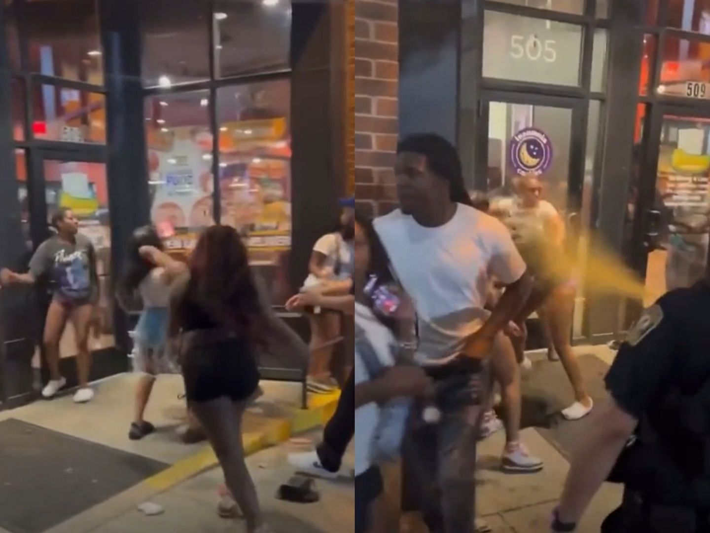 Viral video of group of women fighting and being maced. (Image via Reddit/@u/HejdaaNils)