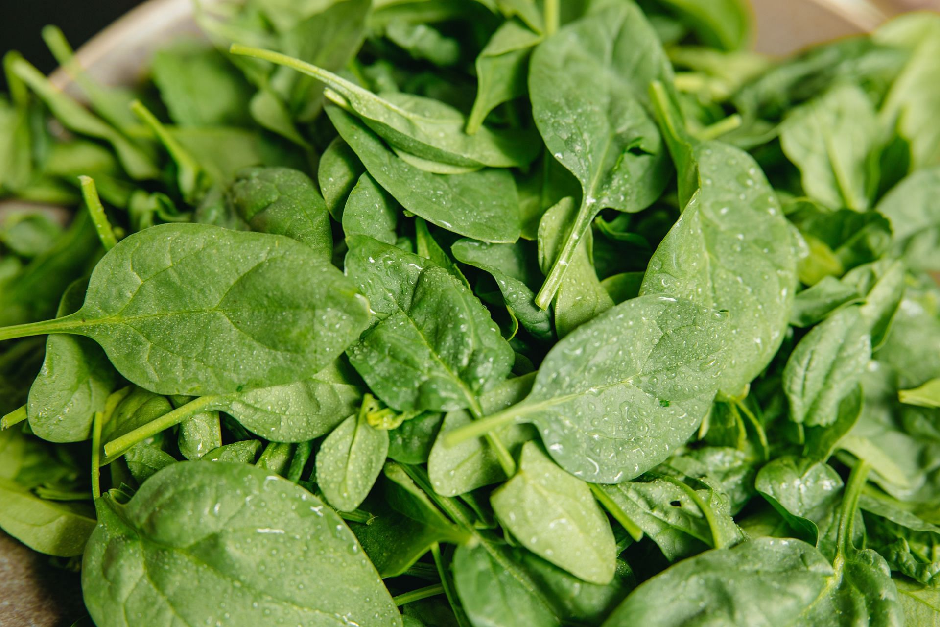 Spinach greeny leaves are rich in B vitamins which promote hair health (Image via Pexels)