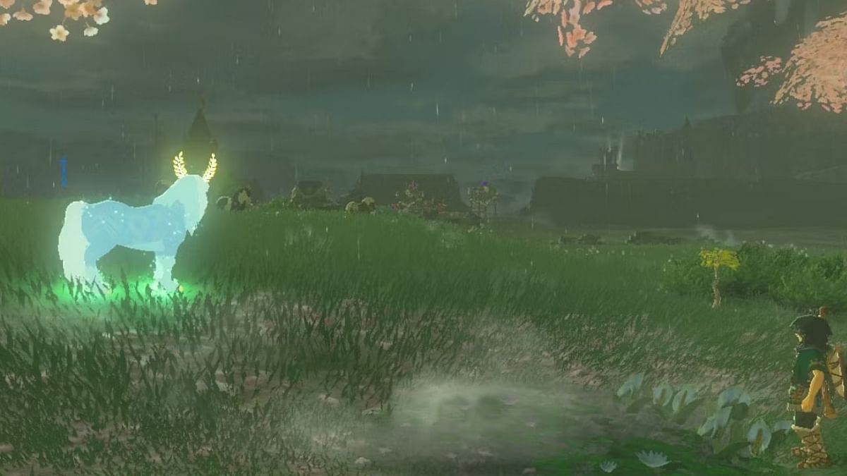 Where to find Hearty Truffles in The Legend of Zelda Tears of the Kingdom