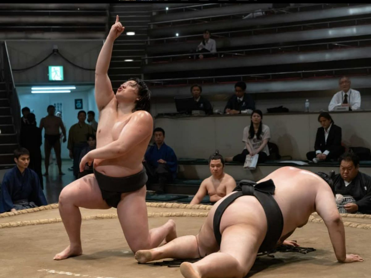 Sumo.gif, Wiki