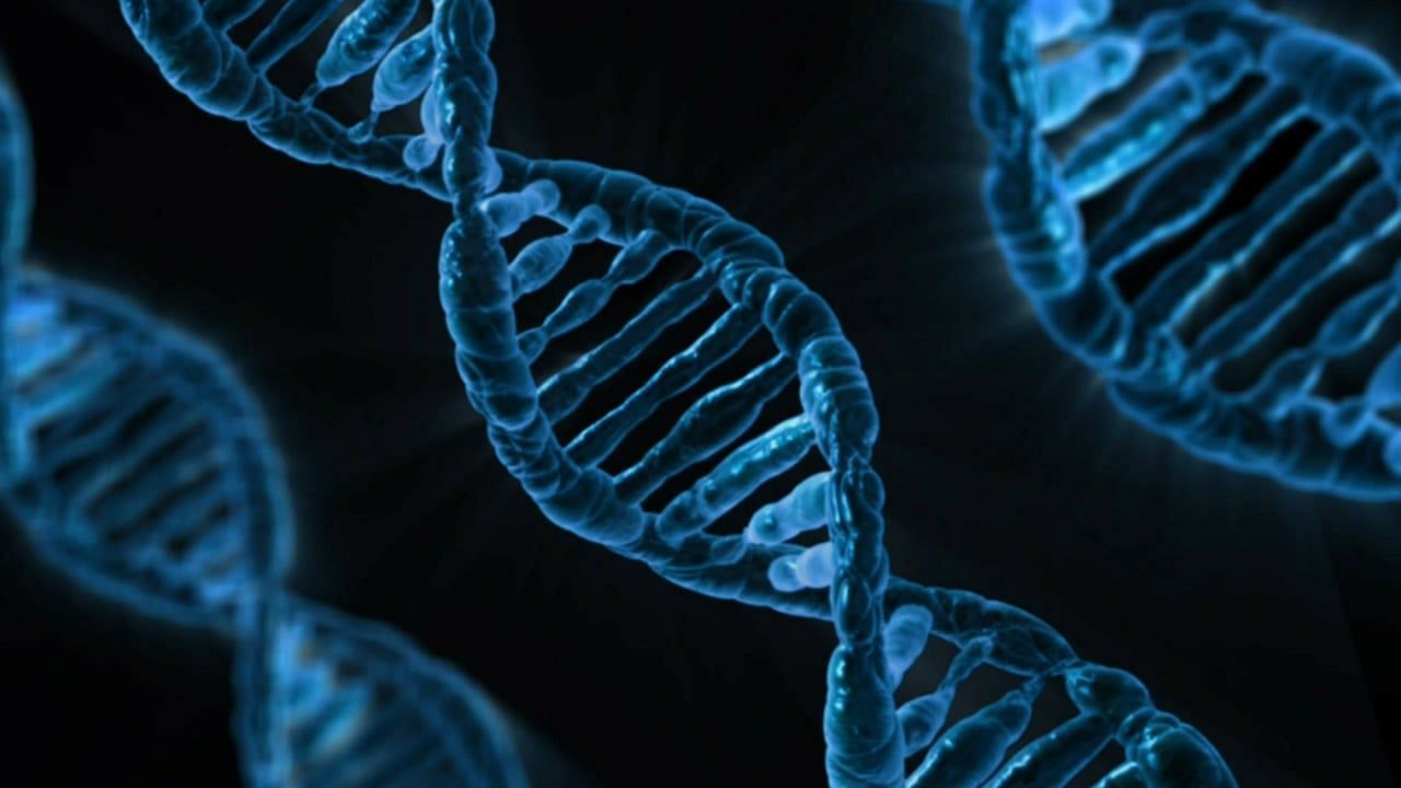 Genetic Factors and Cirrhosis: Exploring the Influence of Genetic Variants. (Image via Pexels)