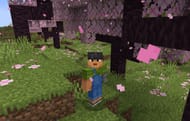Explore the cherry blossom biome (Image via Mojang)